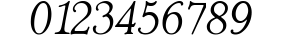 Gutenburg Thin Italic  preview