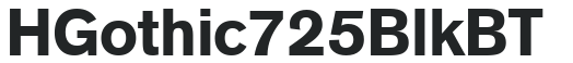 H_Gothic 725 Blk BT preview