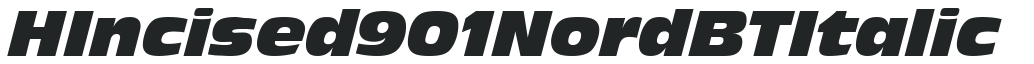 H_Incised 901 Nord BT Italic preview
