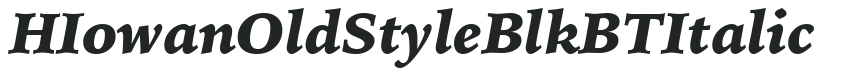 H_Iowan Old Style Blk BT Italic preview