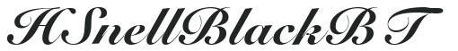 H_Snell Black BT preview