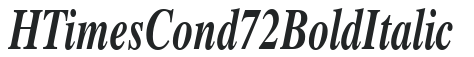 HTimesCond72 Bold Italic preview