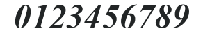 H Times New Roman Bold Italic numbers preview