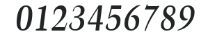 H_TrumpetLite BoldItalic numbers preview