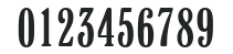 H_Windsor Elongated BT numbers preview