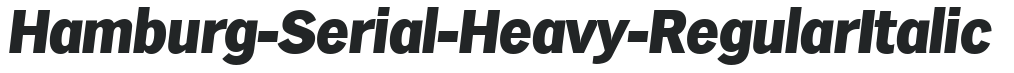 Hamburg-Serial-Heavy-RegularItalic preview
