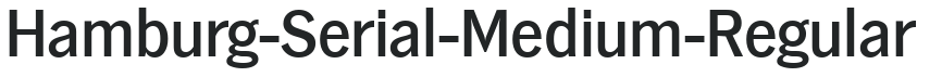 Hamburg-Serial-Medium-Regular preview