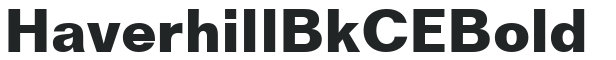 Haverhill Bk CE Bold preview