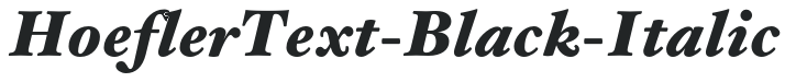 HoeflerText-Black-Italic preview
