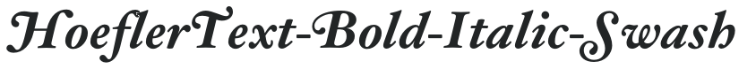 HoeflerText-Bold-Italic-Swash preview