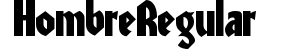 Hombre Regular preview