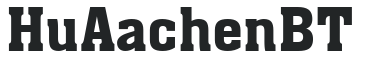 Hu_AachenBT preview