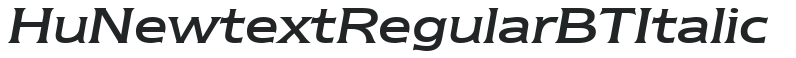 Hu_Newtext Regular BT Italic preview