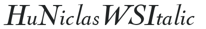 Hu_Niclas WS Italic preview