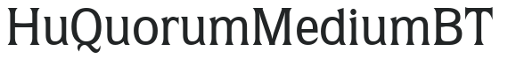Hu_Quorum Medium BT preview