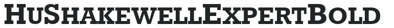 Hu_ShakewellExpert Bold preview