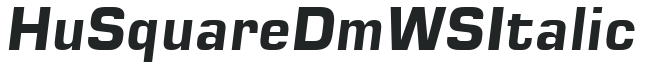 Hu_Square Dm WS Italic preview