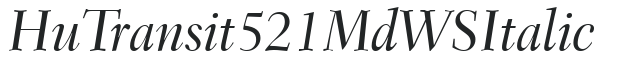 Hu_Transit 521 Md WS Italic preview