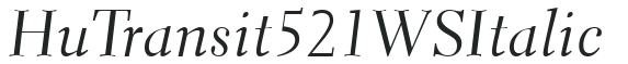 Hu_Transit 521 WS Italic preview