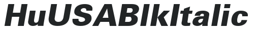 Hu_USA Blk Italic preview