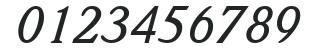 Hu_WoltonExpert Italic numbers preview