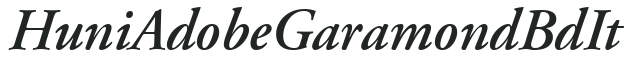 Huni_Adobe Garamond BdIt preview