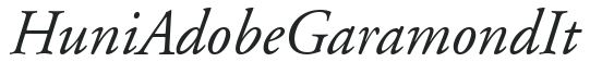 Huni_Adobe Garamond It preview