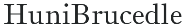 Huni_Brucedle preview
