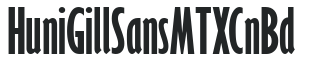 Huni_Gill Sans MT XCnBd preview