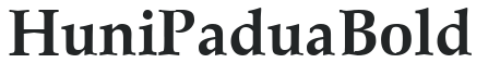 Huni_Padua Bold preview
