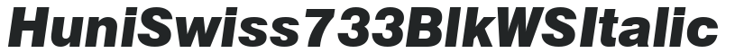 Huni_Swiss 733 Blk WS Italic preview