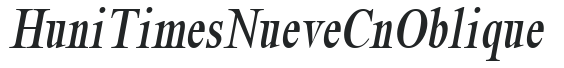 Huni_TimesNueve Cn Oblique preview