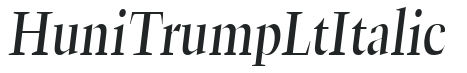 Huni_Trump Lt Italic preview