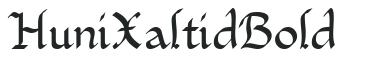 Huni_Xaltid Bold preview