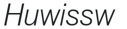 Hu_wissw preview