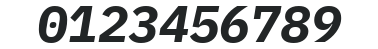 IBM Plex Mono Bold Italic numbers preview