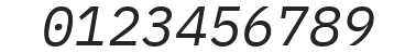 IBM Plex Mono Italic numbers preview