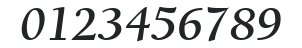 ITCBerkeleyOldstyle-Bold Italic numbers preview
