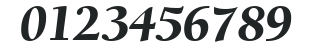 ITC Berkeley Oldstyle LT Black Italic numbers preview