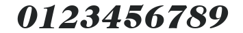 ITCCaslon224-Black Italic numbers preview