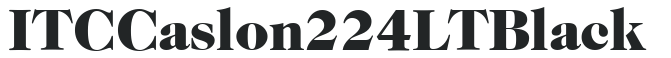 ITC Caslon 224 LT Black preview