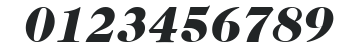 ITC Caslon 224 LT Black Italic numbers preview