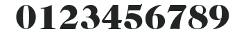 ITC Caslon 224 LT Black numbers preview