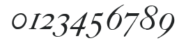 ITC Founders Caslon 42 Italic numbers preview