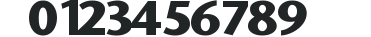 ITC Stone Sans Bold preview