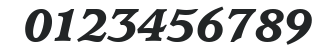 ITCUsherwood-Black Italic numbers preview
