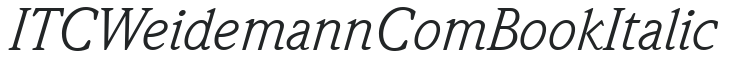 ITC Weidemann Com Book Italic preview