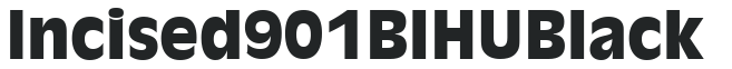 Incised 901 BlHU Black preview