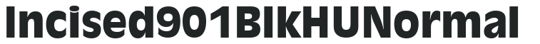 Incised 901 Blk HU Normal preview