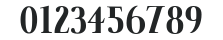 IndisposeSCLigatures-Bold numbers preview